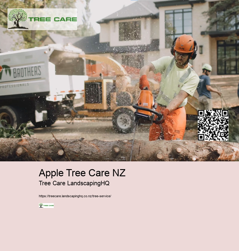 Stump Removal NZ