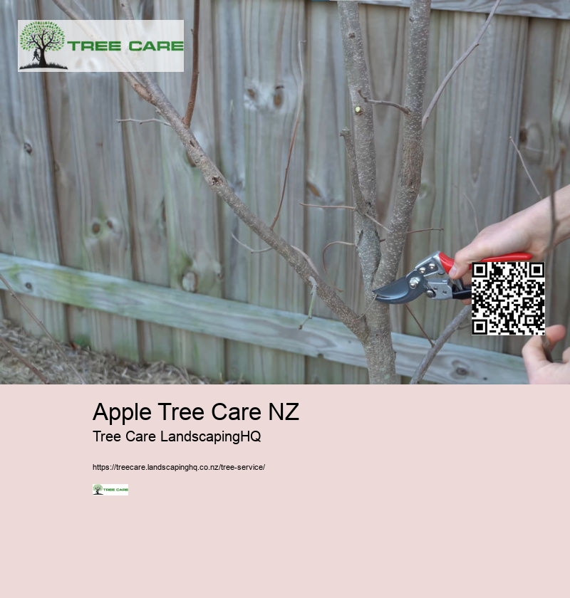 Arborist Mulch Auckland