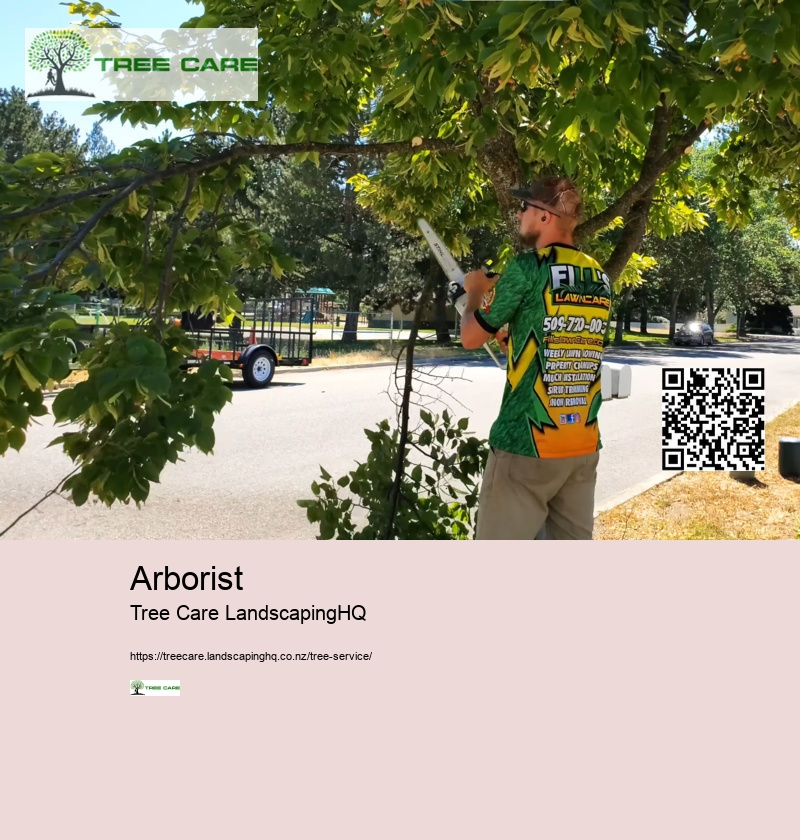 Arborist Auckland North Shore