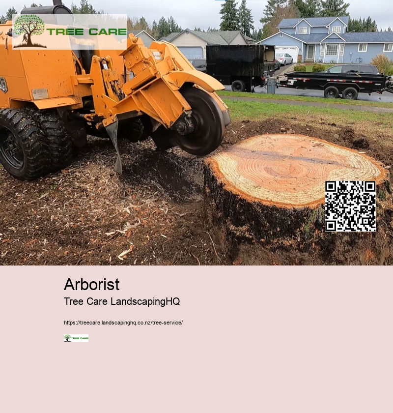 Trimming Trees In NZ