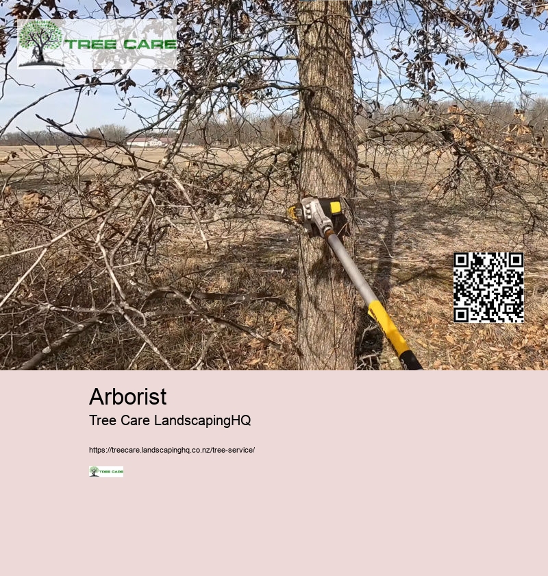 Tree Arborist Near Me