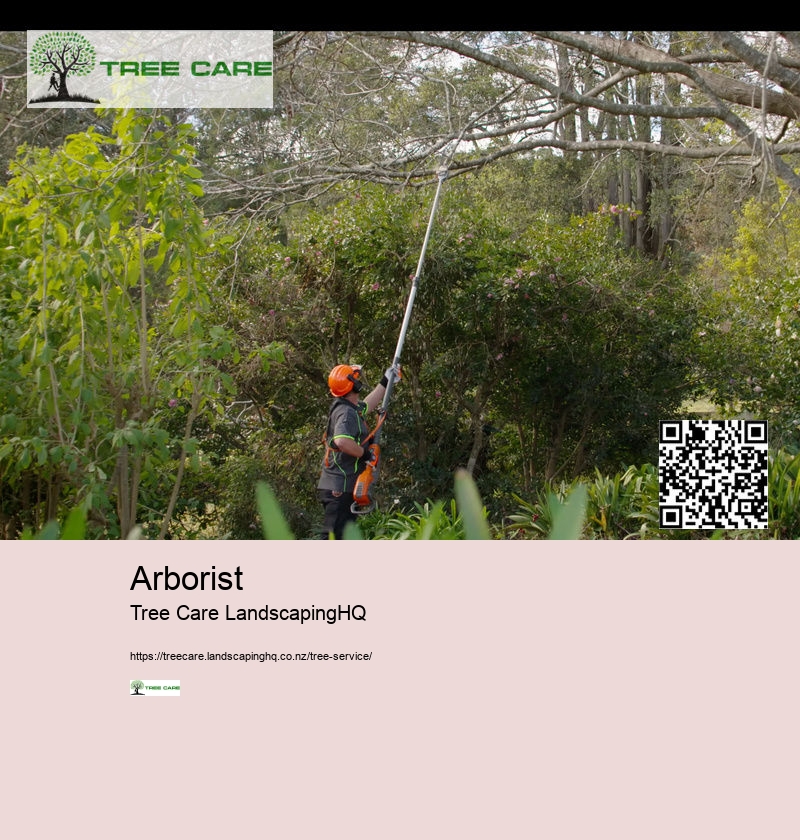 Tree Cutting NZ