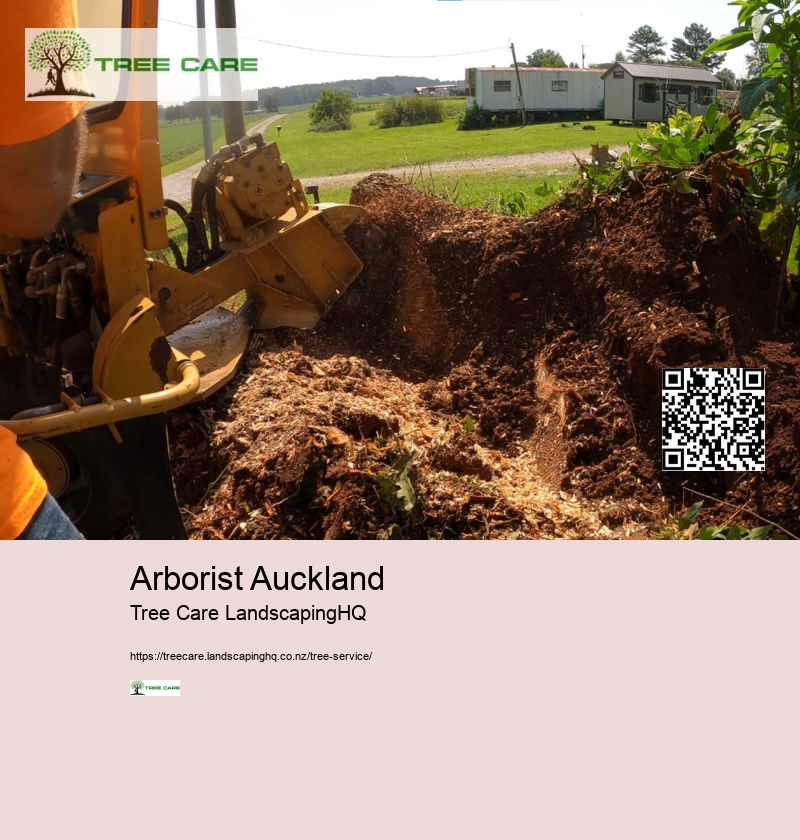 Tree Removal West Auckland