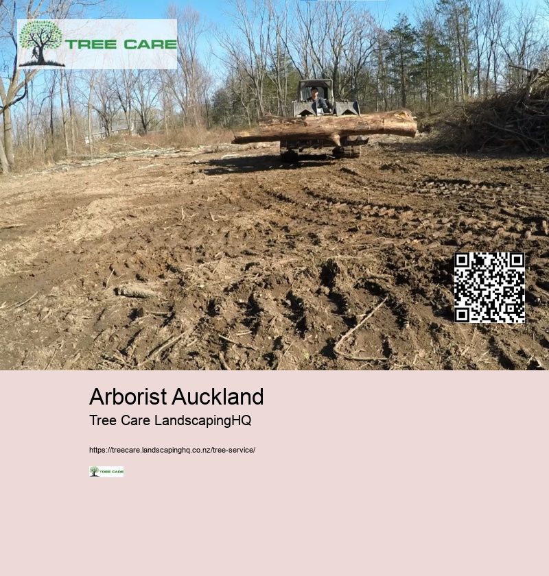 Tree Services Tauranga