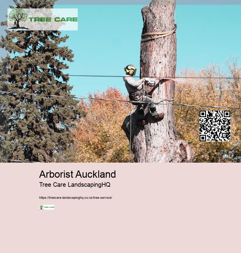 Arborist Auckland