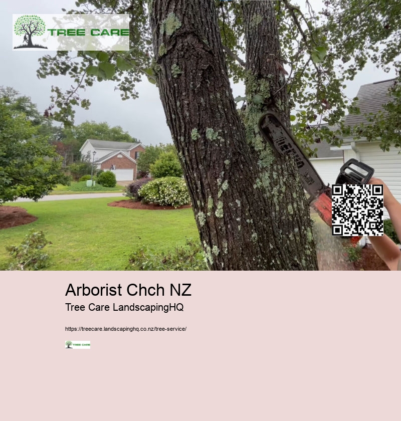 Tree Service East Auckland