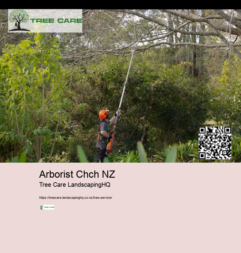 Arborist Chch NZ