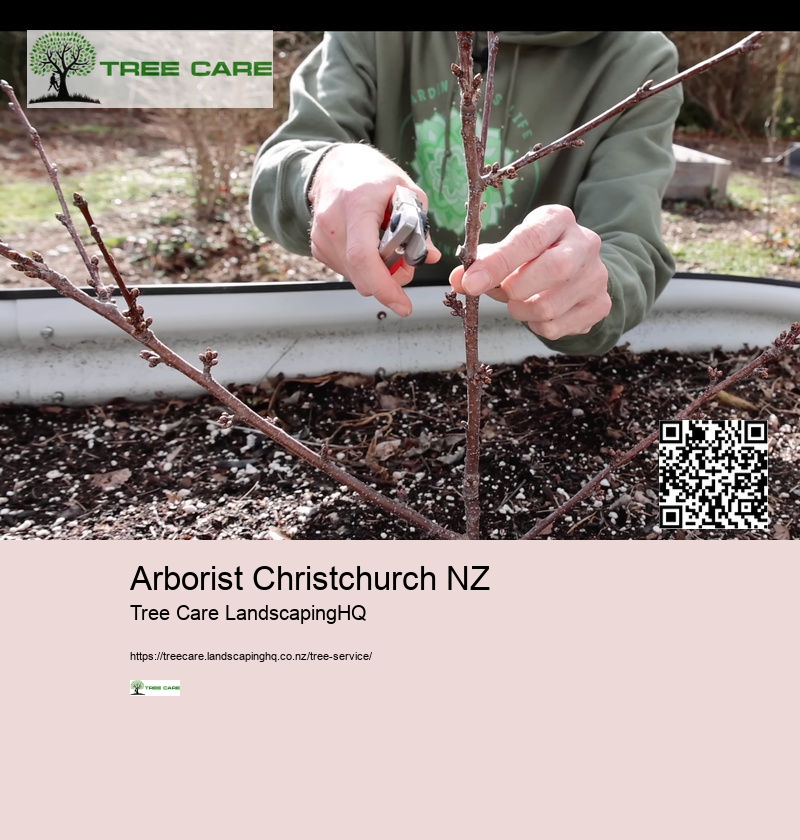 Arborist Mulch Christchurch
