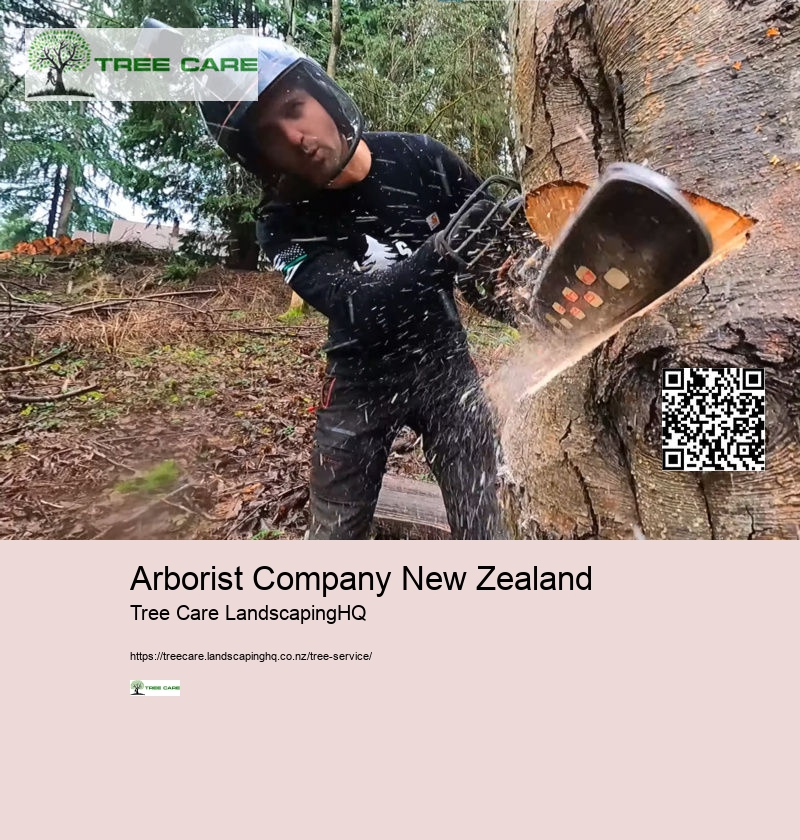 Tree Arborist Tauranga