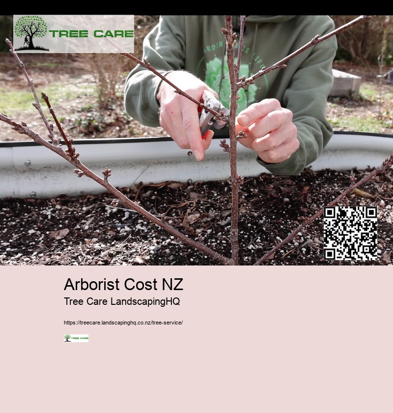 Arborist Nelson NZ