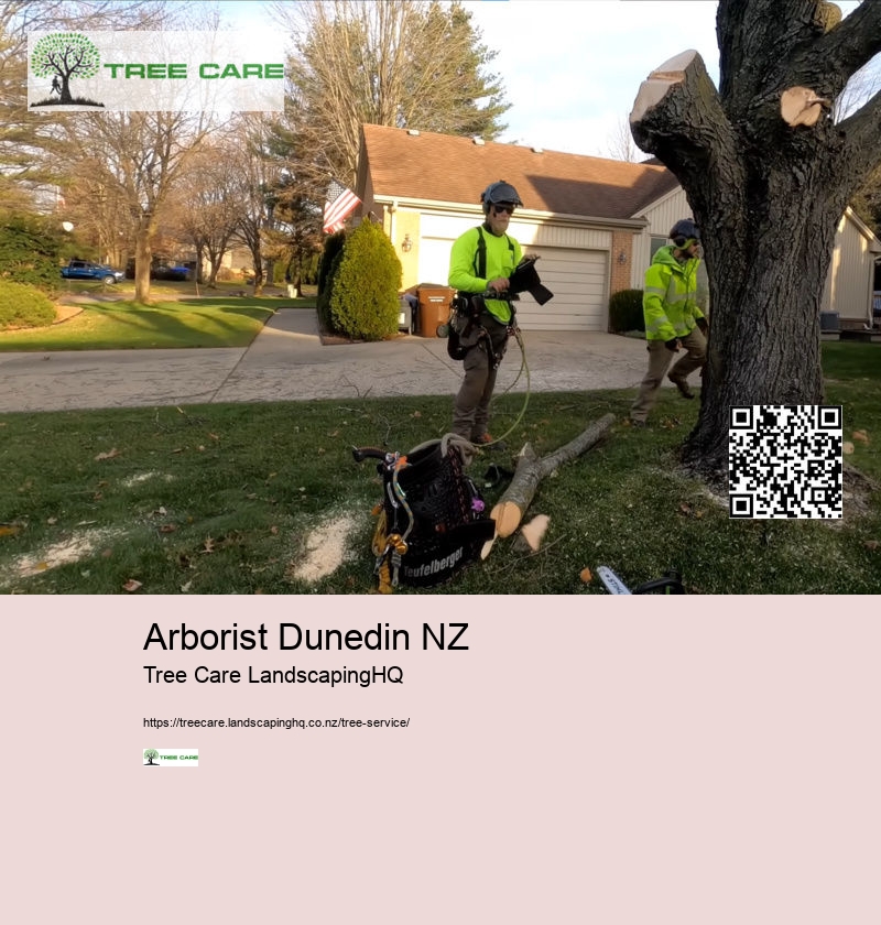 Tauranga Arborist