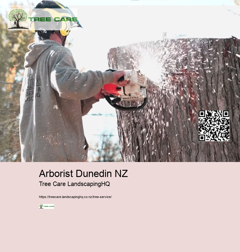 Stump Grinder NZ