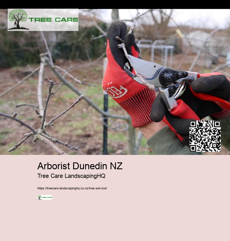 Arborist Hastings NZ