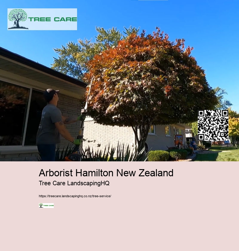 Arborist South Island New Zealand