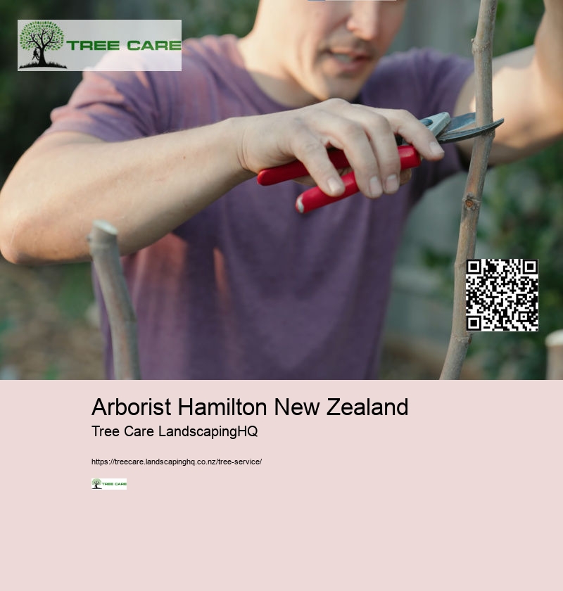 Arborist In My Area