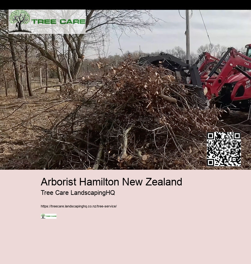 Arborist Katikati