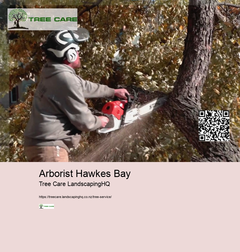 Tree Services Whakatane