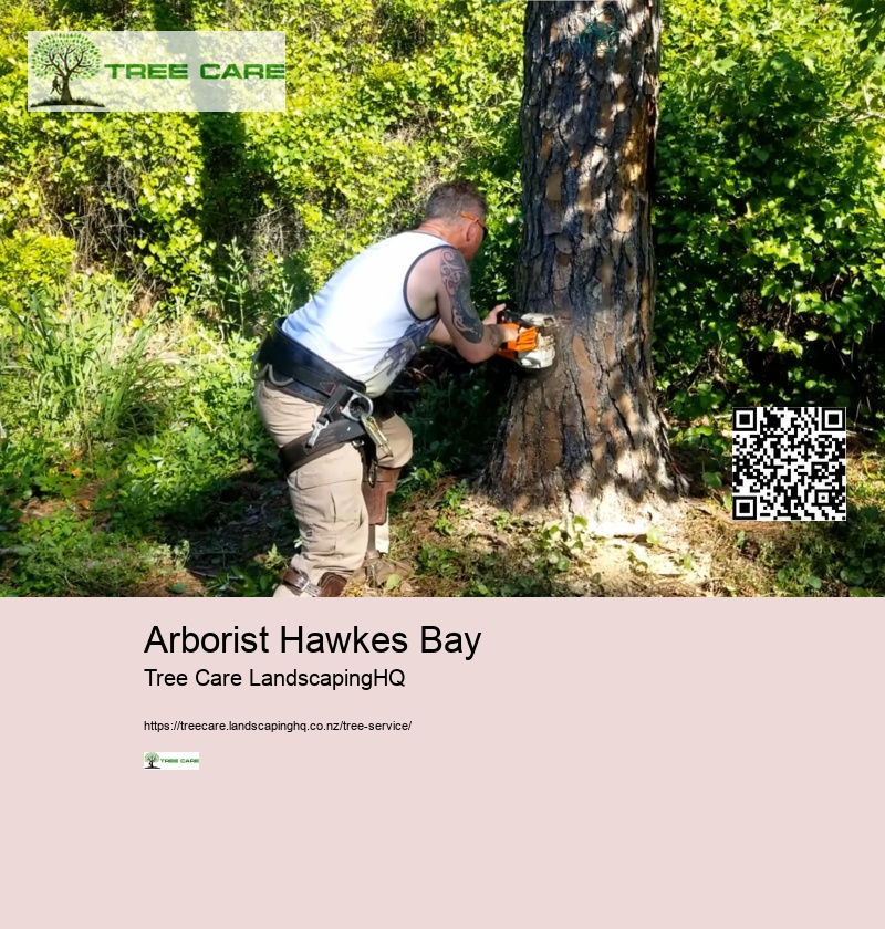 Arborist Costs NZ