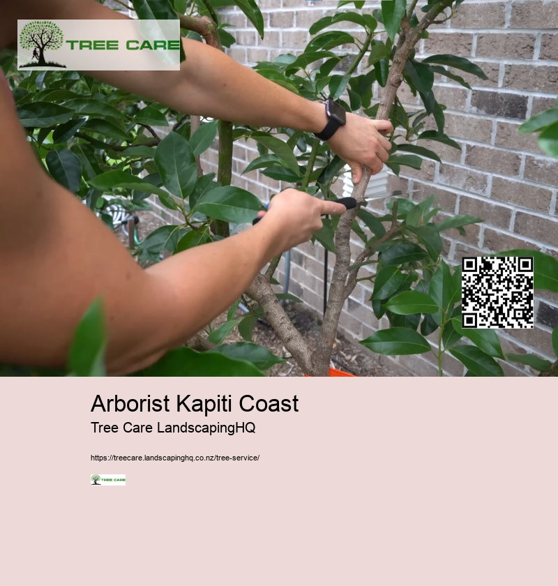 Arborist Wellington NZ