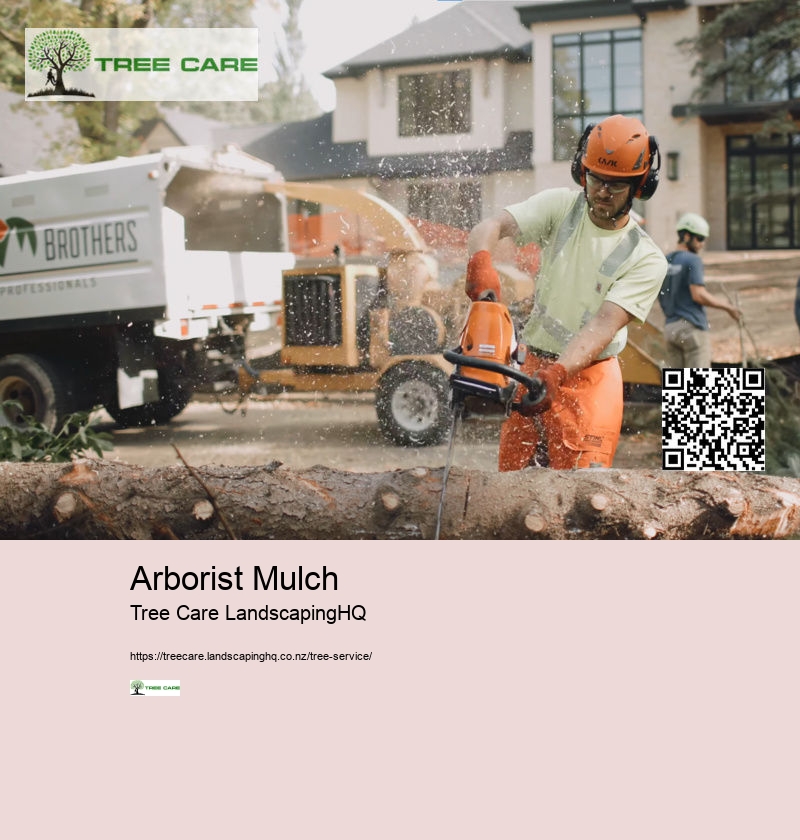 Tree Removal Hamilton NZ