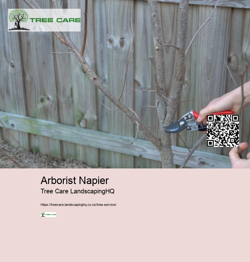 Arborist East Auckland