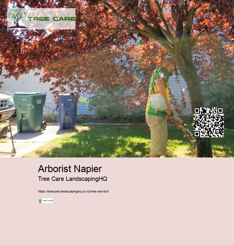 Arborist Napier