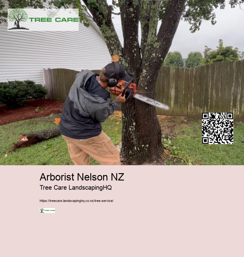 Tree Arborist Wellington NZ