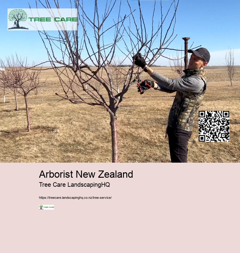 Tree Trimming Christchurch