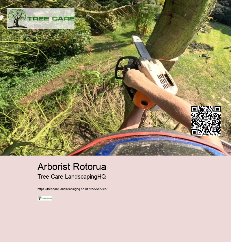 Arborist Tree Service Near Me