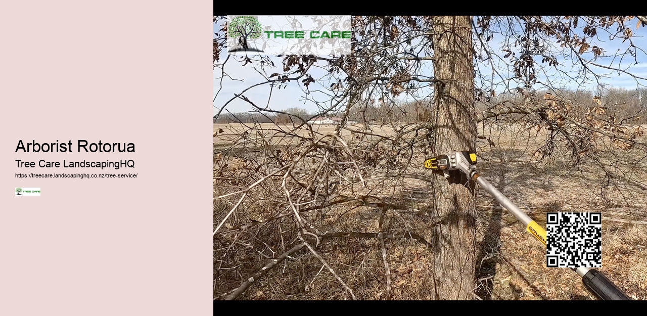 Tree Removal NZ