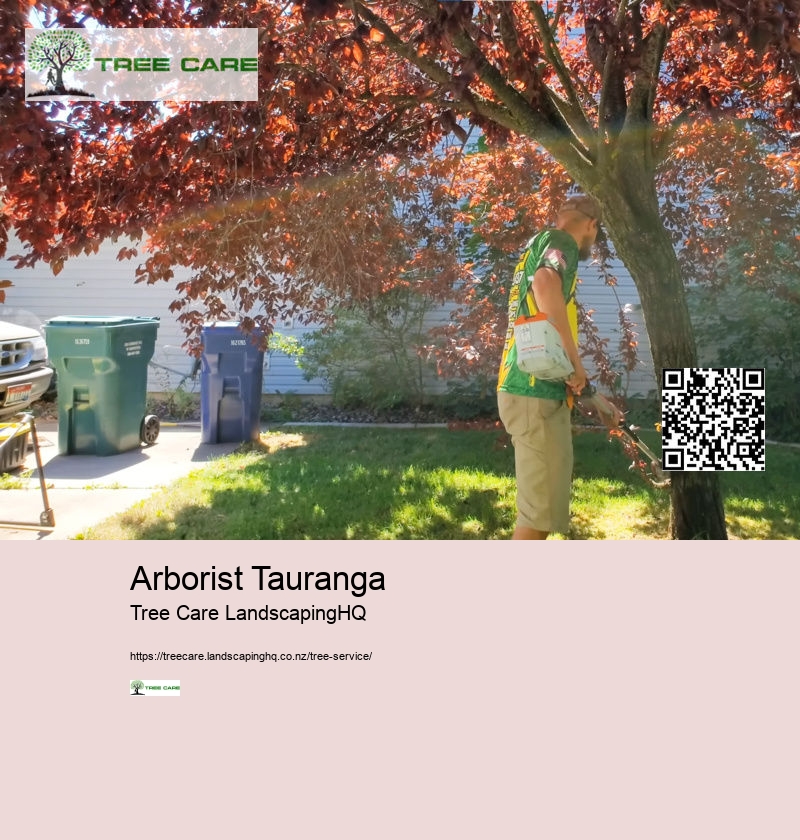 Tree Surgeon NZ