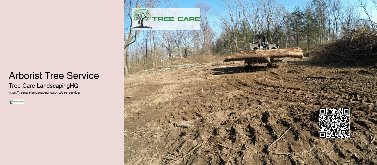 Stump Grinding Napier