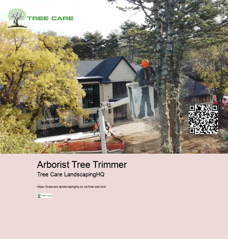 Tree Removal Rotorua