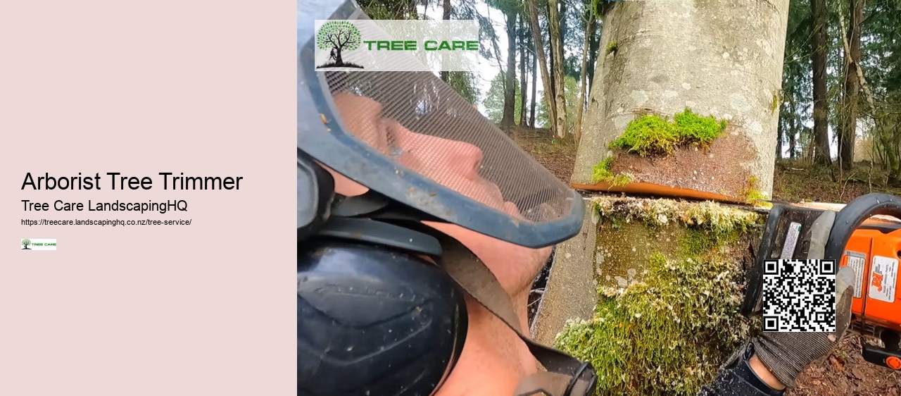 Arborist Hawkes Bay