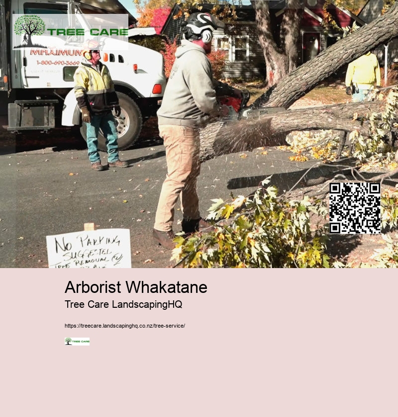 Arborist Whakatane