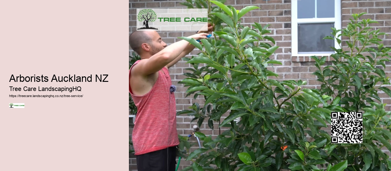 Tree Removal Nelson
