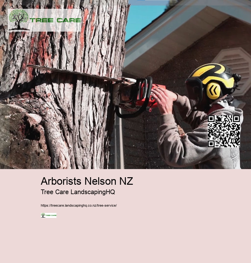 Stump Removal NZ