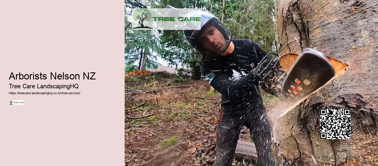 Tree Trimming Chch