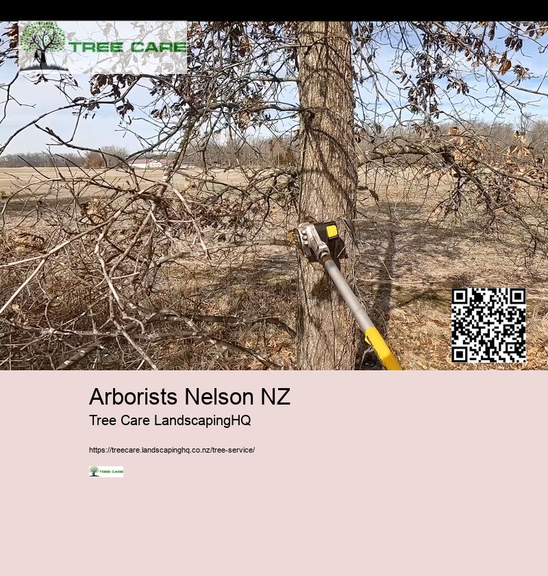 Arborists Nelson NZ