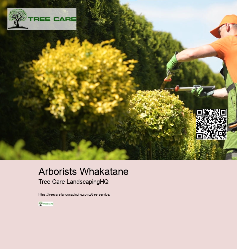 Arborist Hamilton New Zealand
