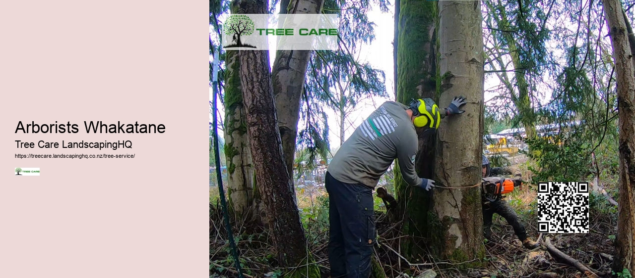 Tree Removal Upper Hutt