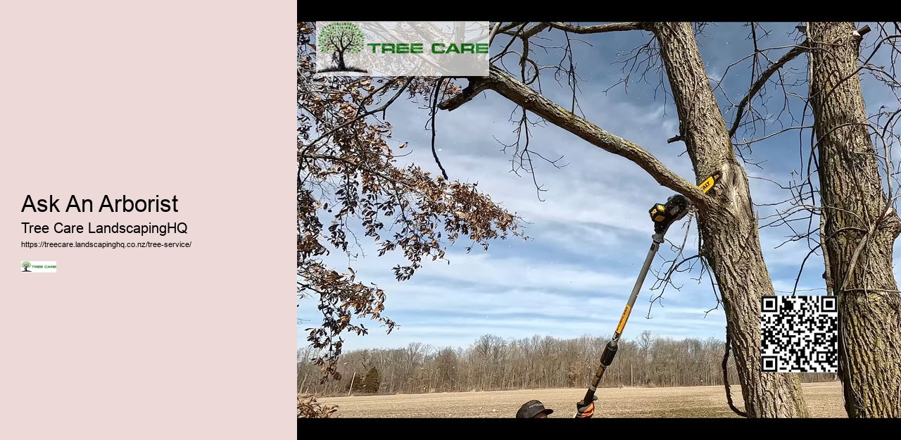Tree Services Tauranga