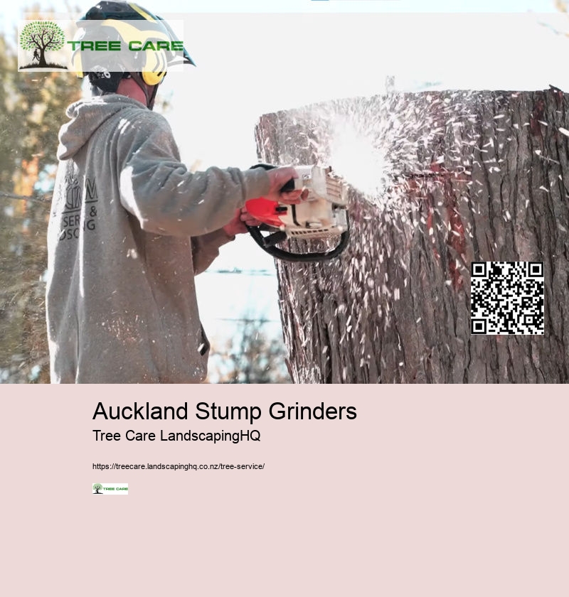 Tree Trimming Wellington NZ