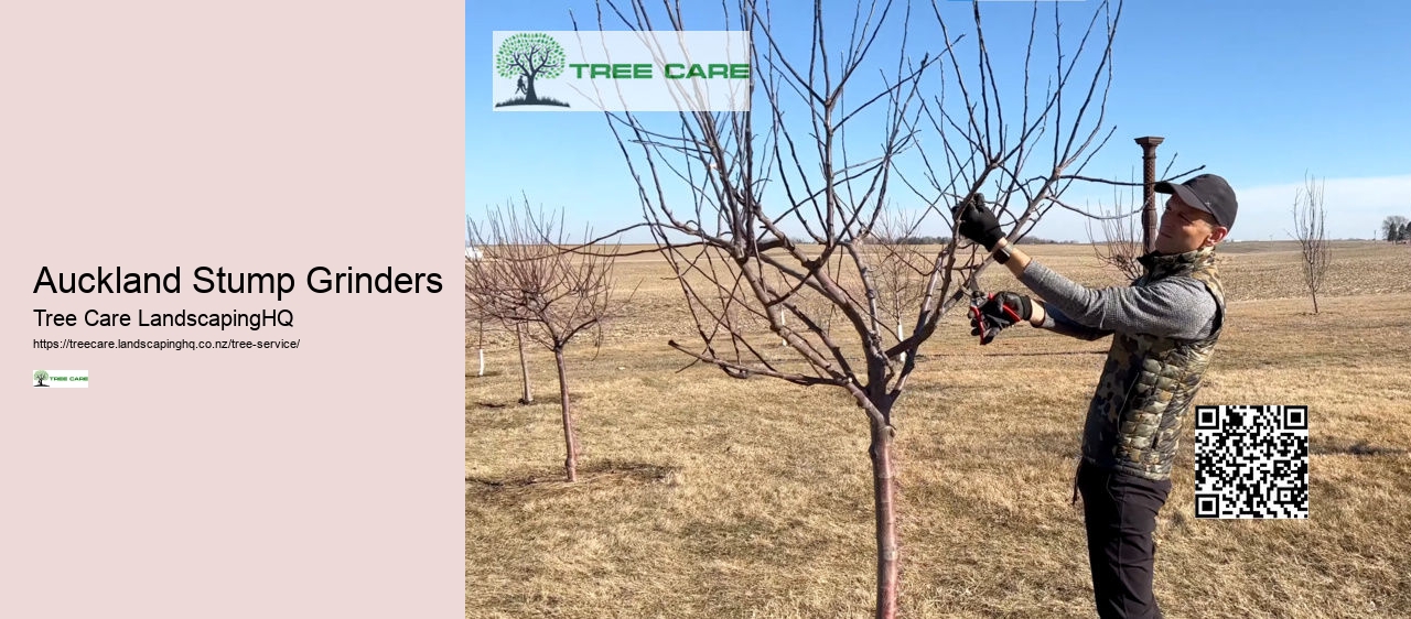 Arborist Hamilton NZ
