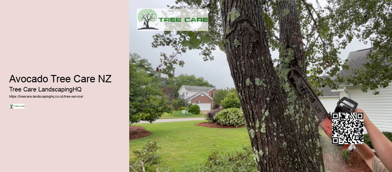Arborist Dunedin