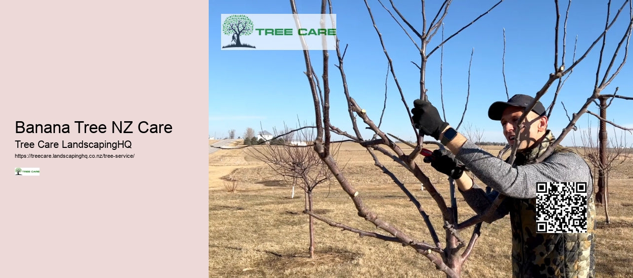 Tree Trimming Napier