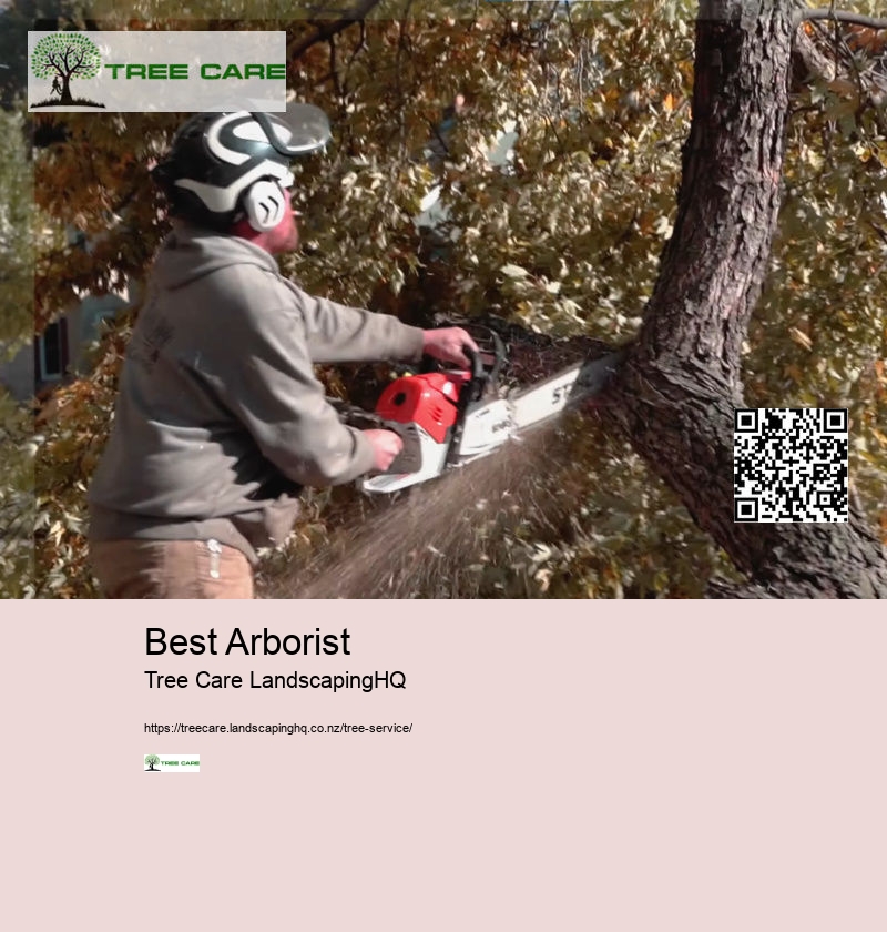 24 Hour Arborist