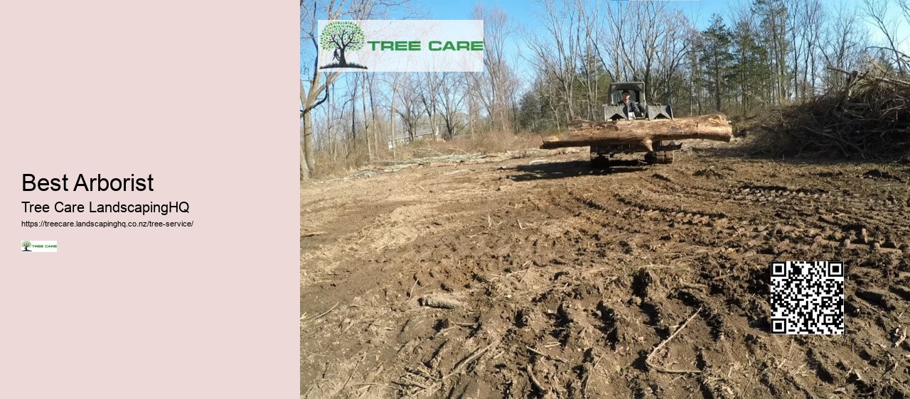 Qualified Arborist