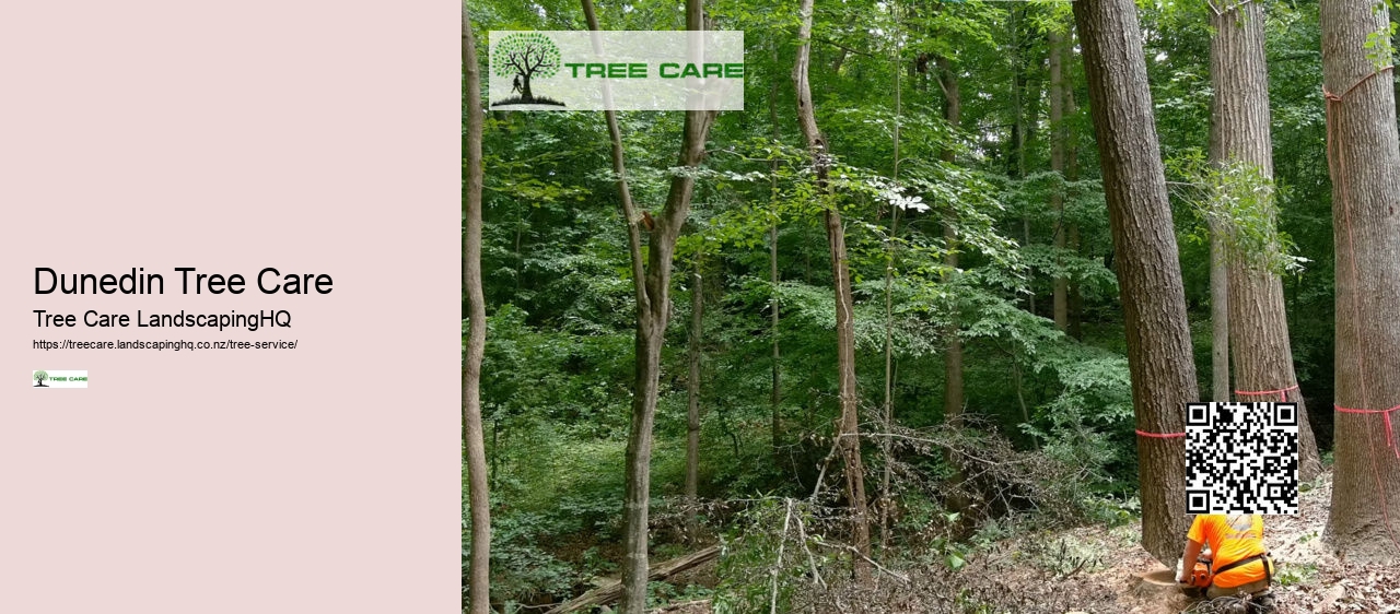 Arborist Christchurch NZ