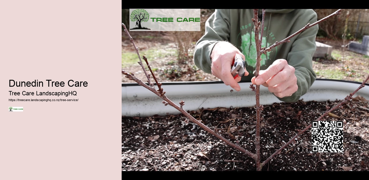 Arborist Upper Hutt